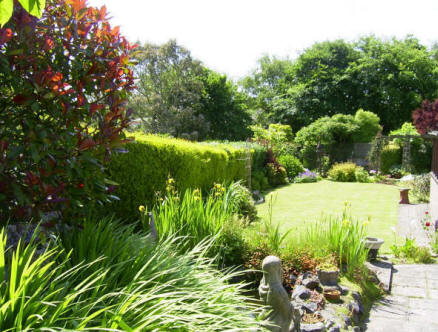 Our Back Garden