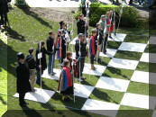 One side of Chess Pieces