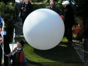 Rover Will get You if You Miss Behalf 