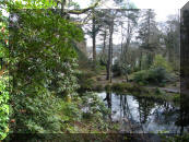The Pool in the Grounds